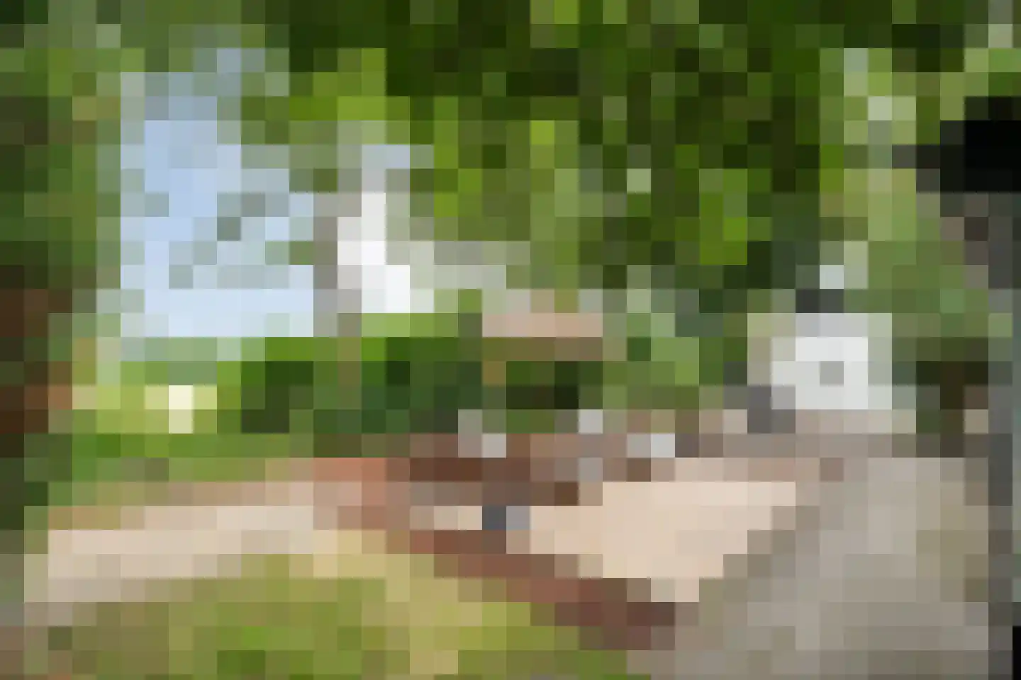 Zandhuizerweg 31 Zandhuizen thumbnail 46