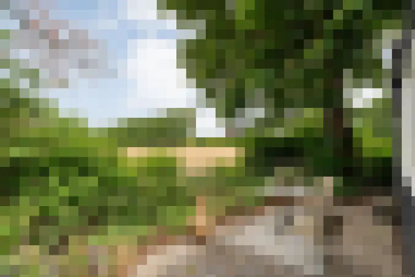 Zandhuizerweg 31 Zandhuizen thumbnail 47