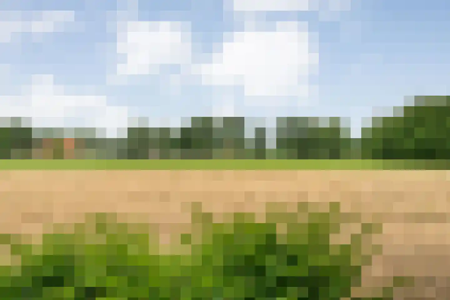 Zandhuizerweg 31 Zandhuizen thumbnail 48