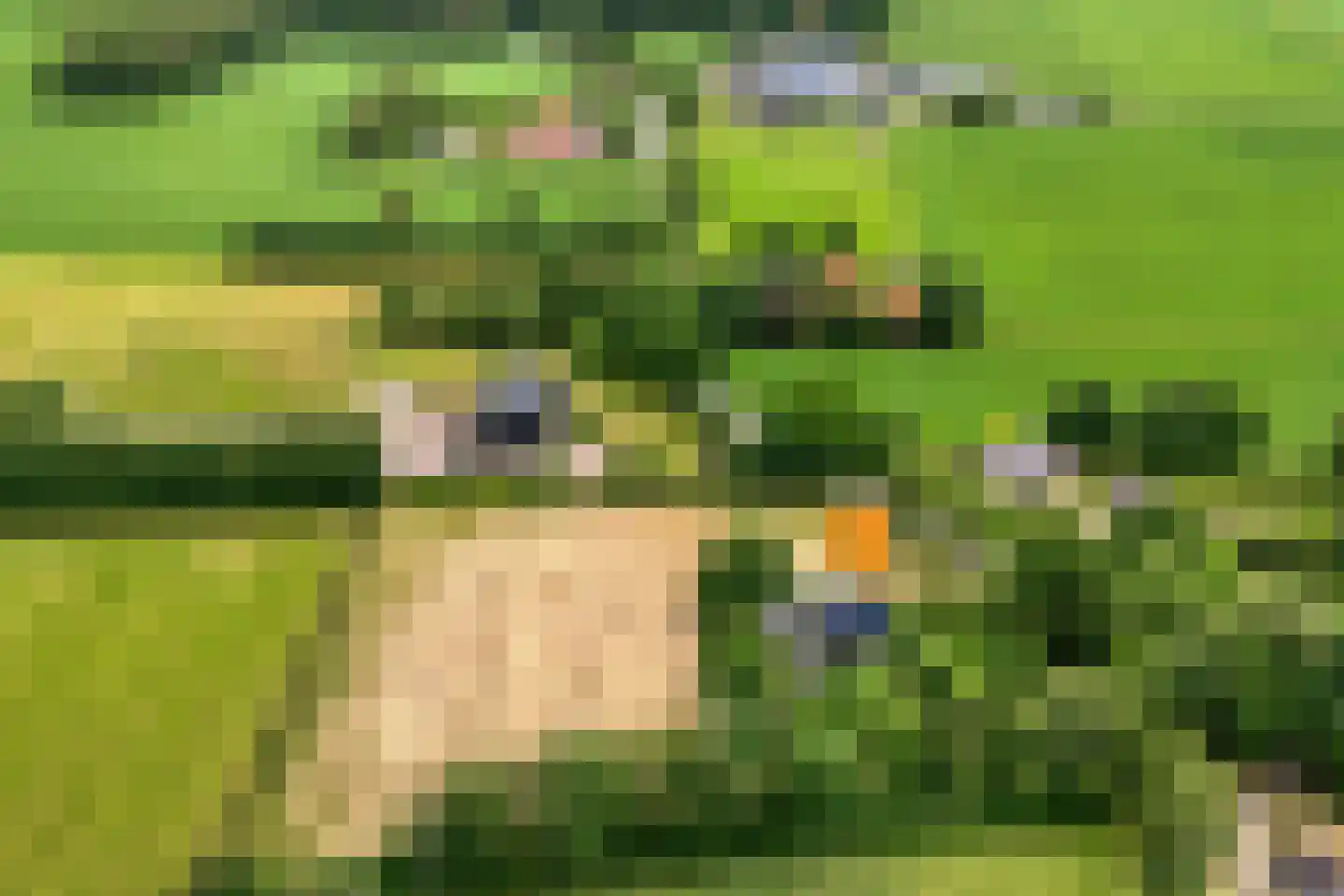 Zandhuizerweg 31 Zandhuizen thumbnail 5