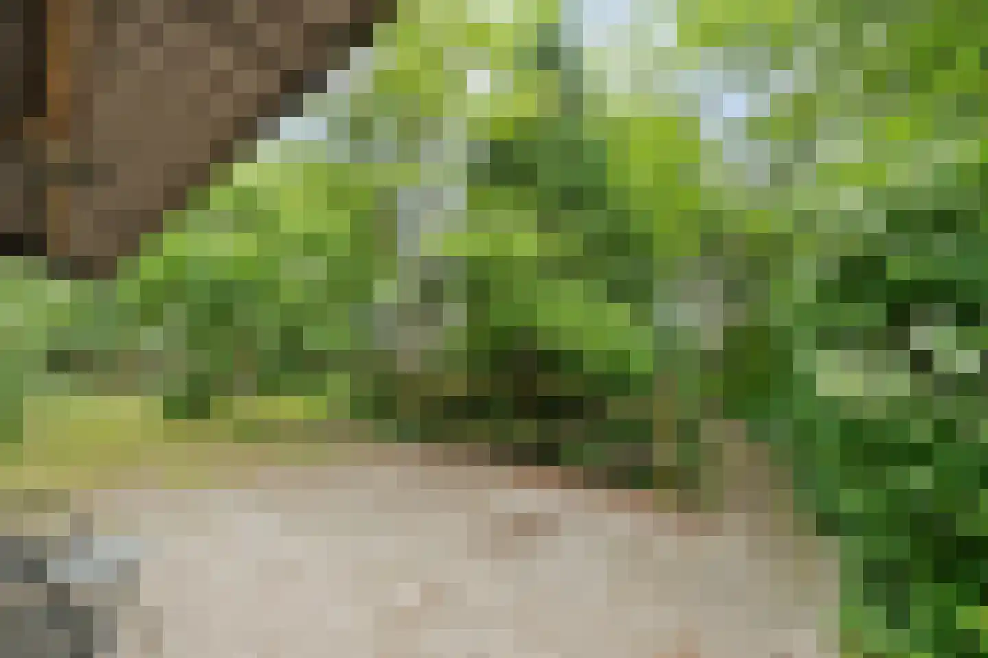 Zandhuizerweg 31 Zandhuizen thumbnail 52