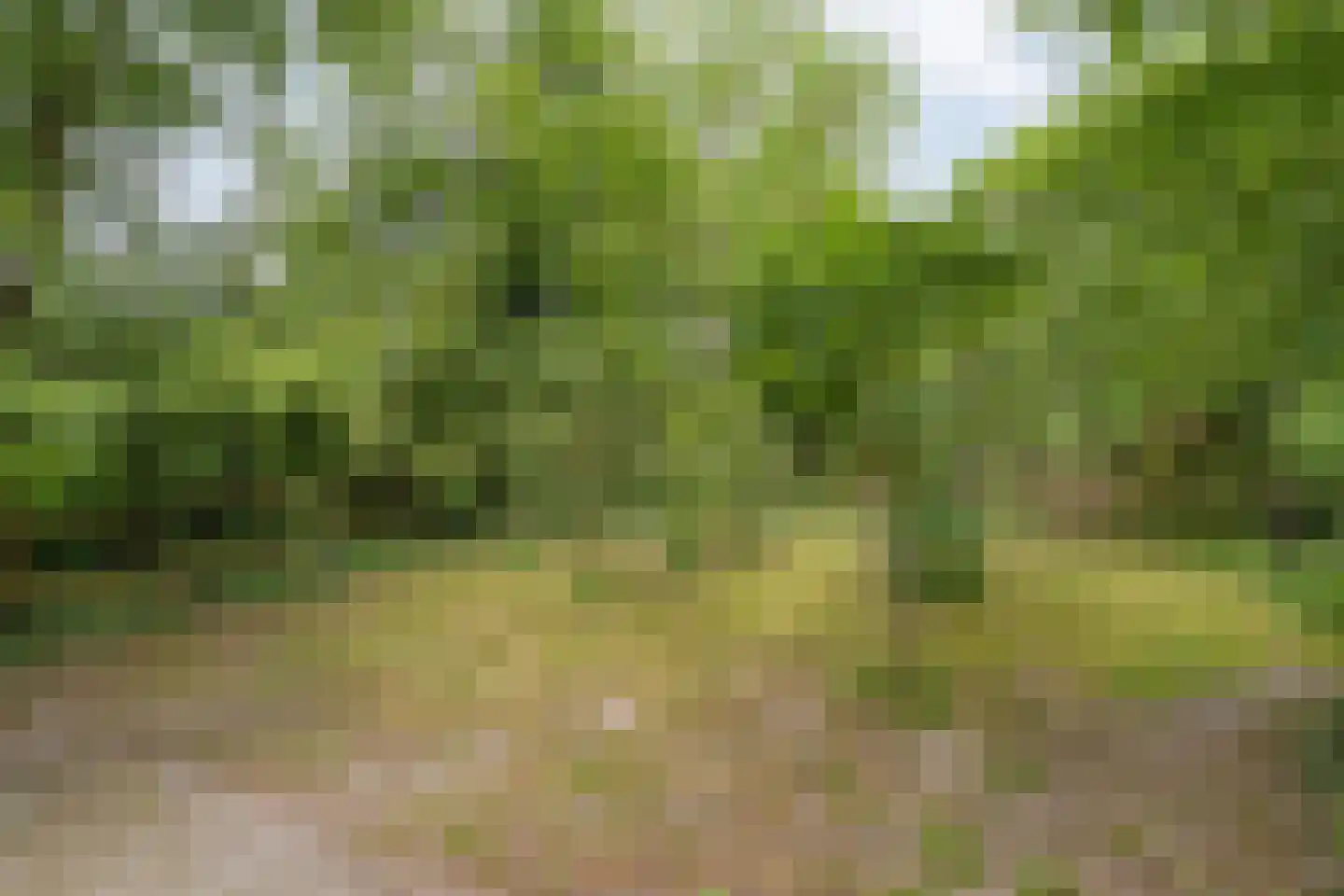 Zandhuizerweg 31 Zandhuizen thumbnail 53