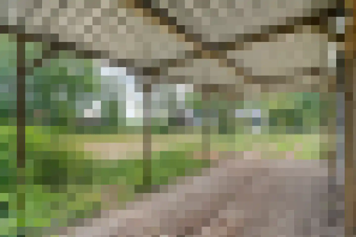 Zandhuizerweg 31 Zandhuizen thumbnail 55