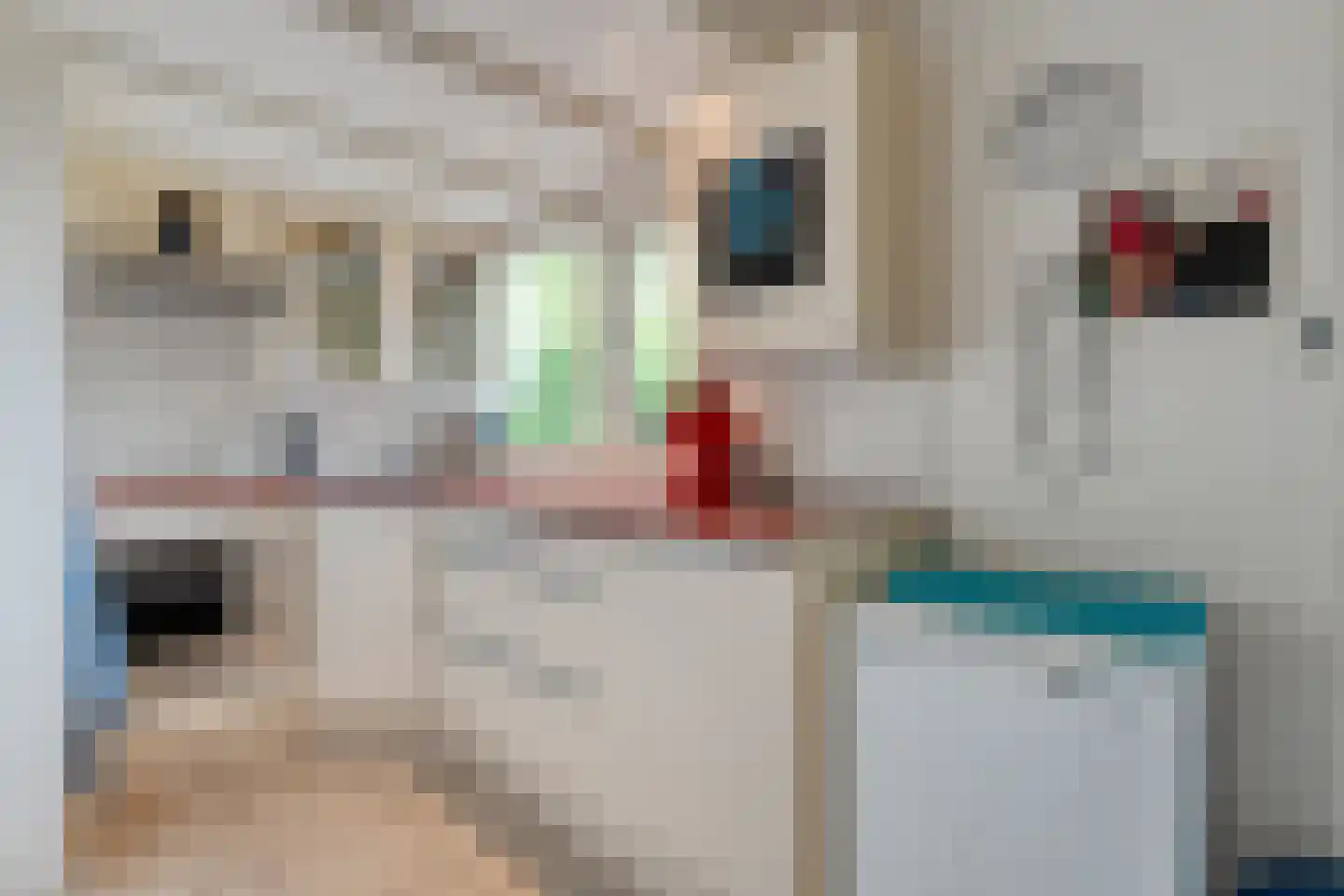 Zandhuizerweg 31 Zandhuizen thumbnail 58