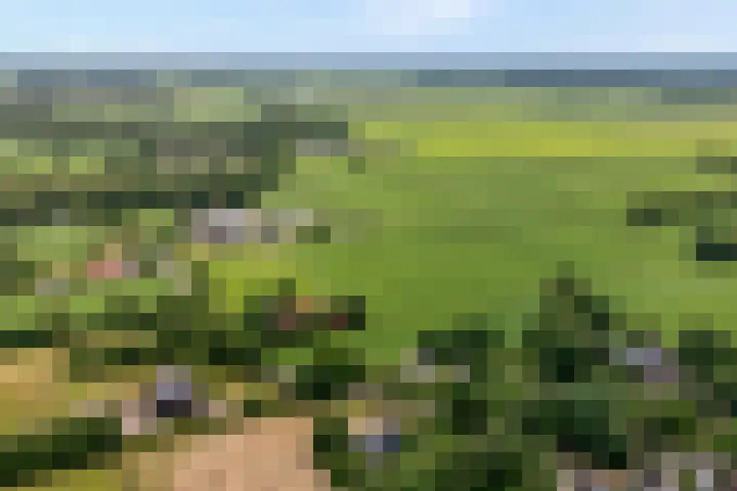 Zandhuizerweg 31 Zandhuizen thumbnail 6