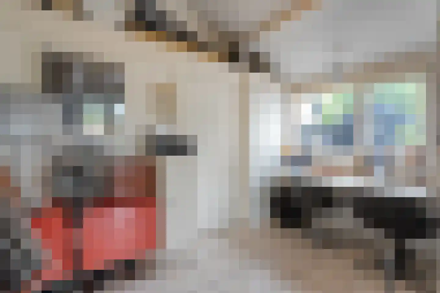 Zandhuizerweg 31 Zandhuizen thumbnail 60
