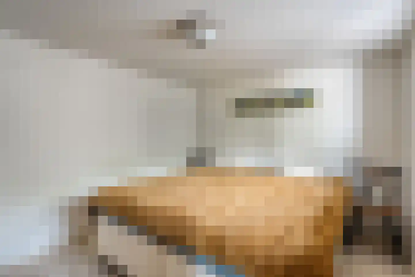 Zandhuizerweg 31 Zandhuizen thumbnail 63