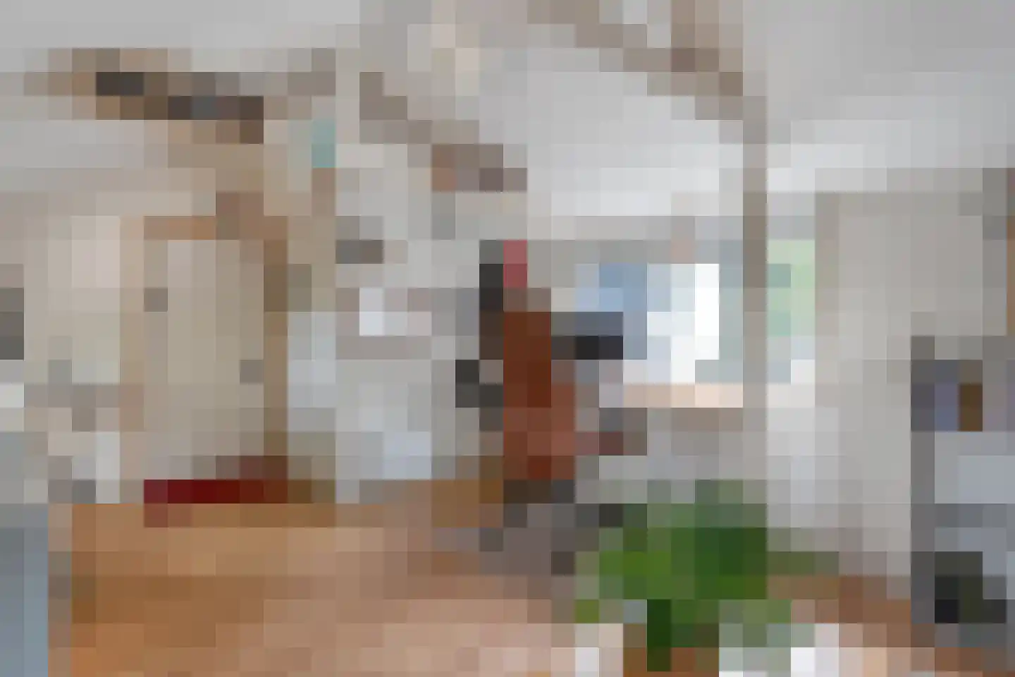 Zandhuizerweg 31 Zandhuizen thumbnail 67