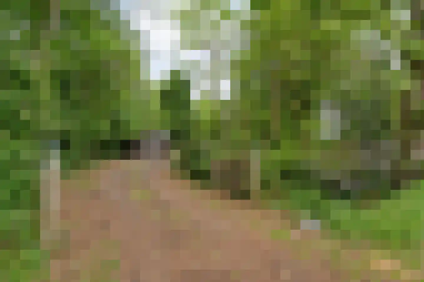 Zandhuizerweg 31 Zandhuizen thumbnail 7