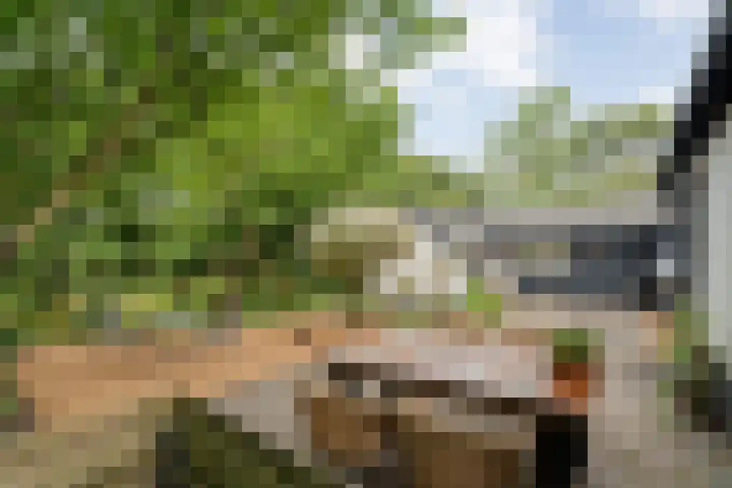 Zandhuizerweg 31 Zandhuizen thumbnail 8