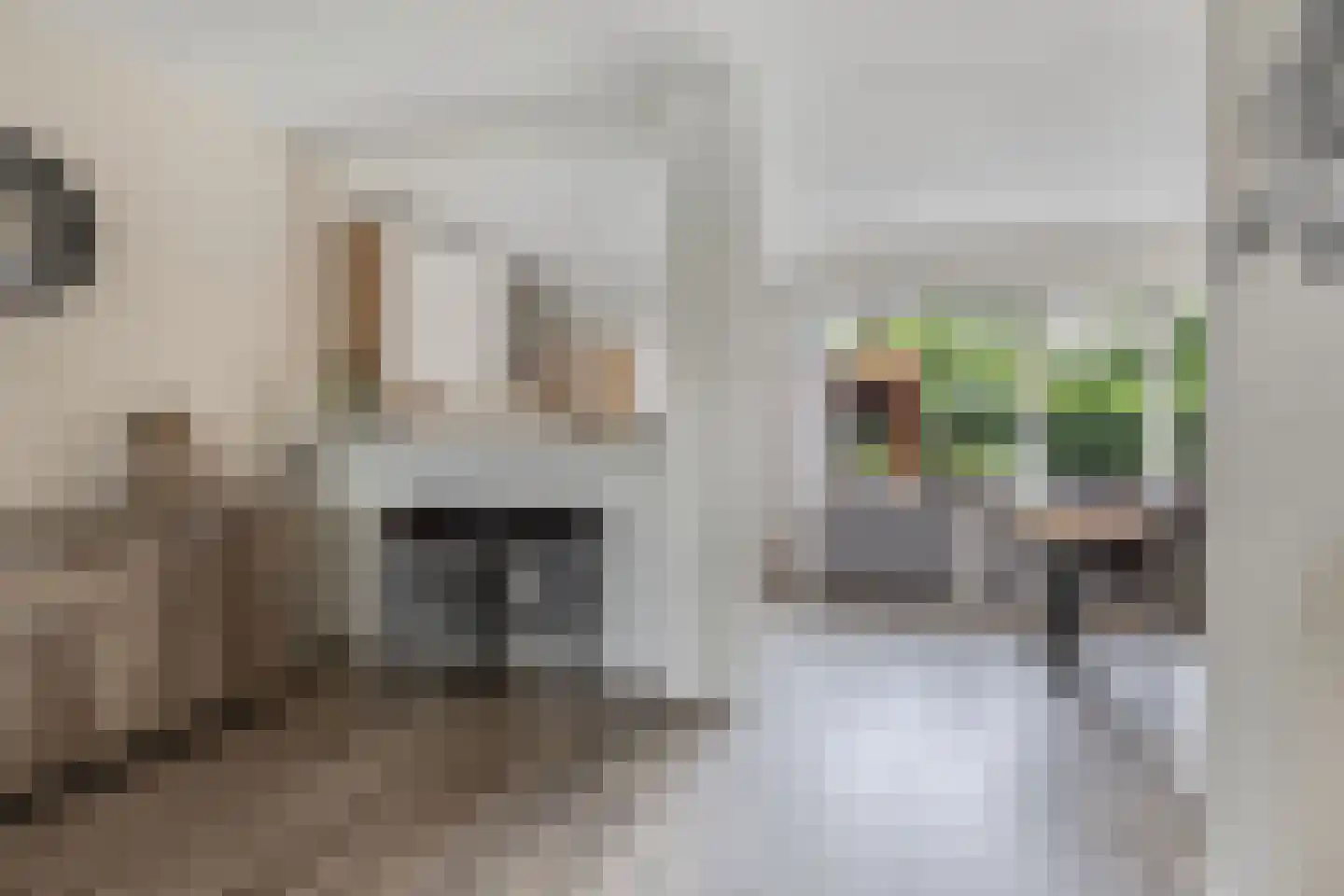 Zandhuizerweg 4 A Zandhuizen thumbnail 12