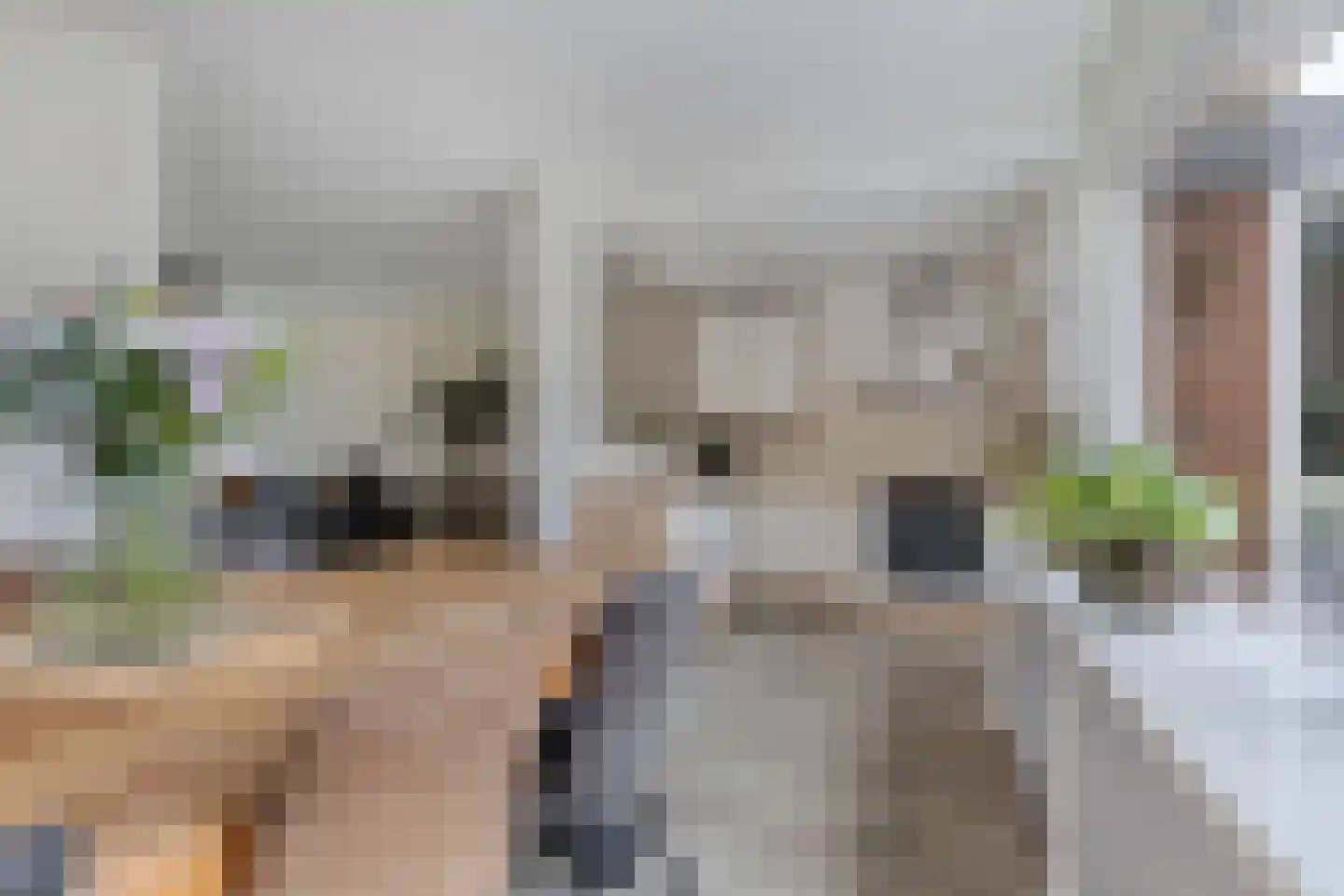 Zandhuizerweg 4 A Zandhuizen thumbnail 13