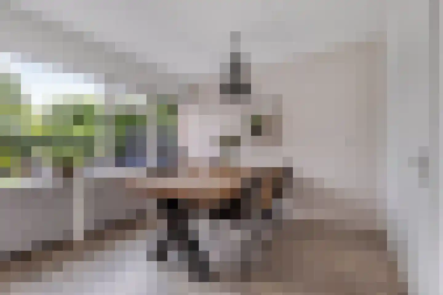 Zandhuizerweg 4 A Zandhuizen thumbnail 14