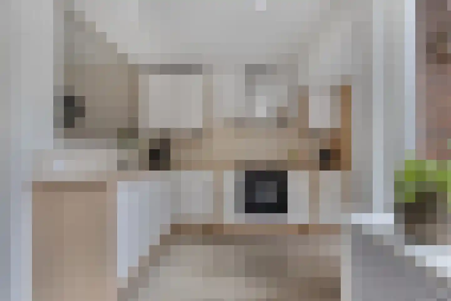 Zandhuizerweg 4 A Zandhuizen thumbnail 15