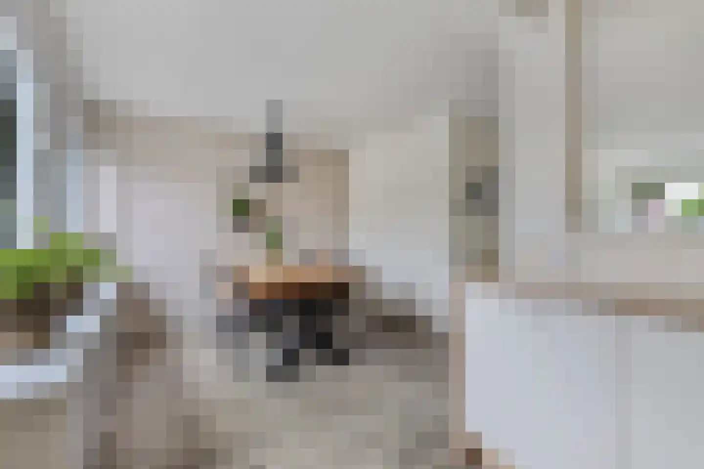 Zandhuizerweg 4 A Zandhuizen thumbnail 18