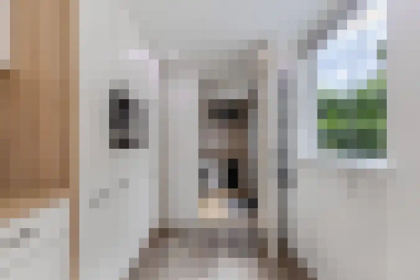 Zandhuizerweg 4 A Zandhuizen thumbnail 19
