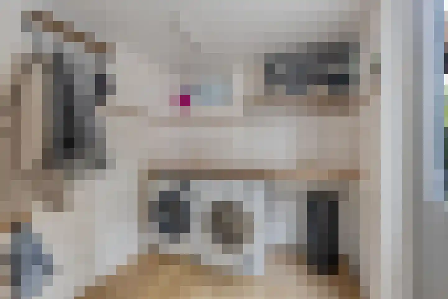 Zandhuizerweg 4 A Zandhuizen thumbnail 20