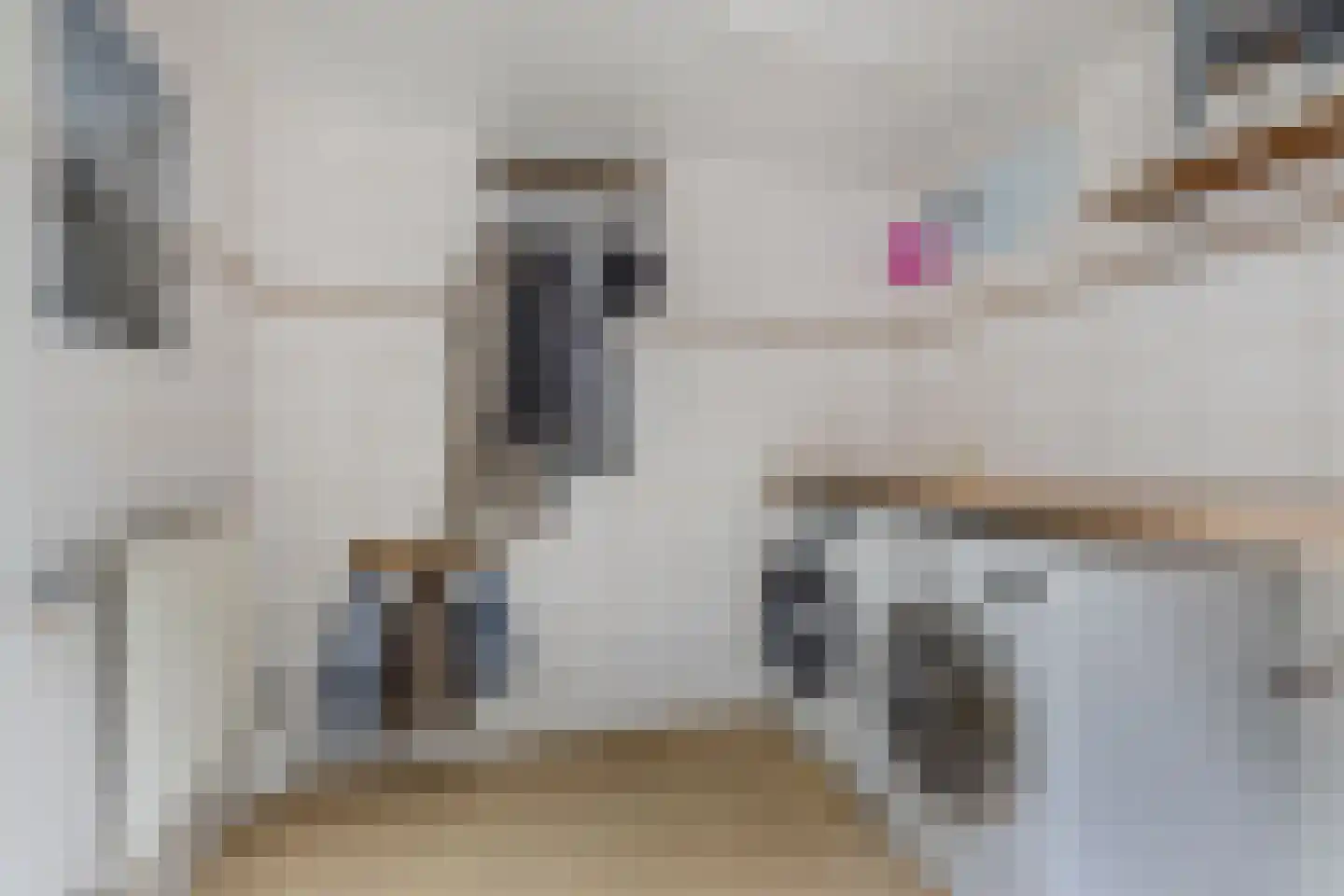 Zandhuizerweg 4 A Zandhuizen thumbnail 21