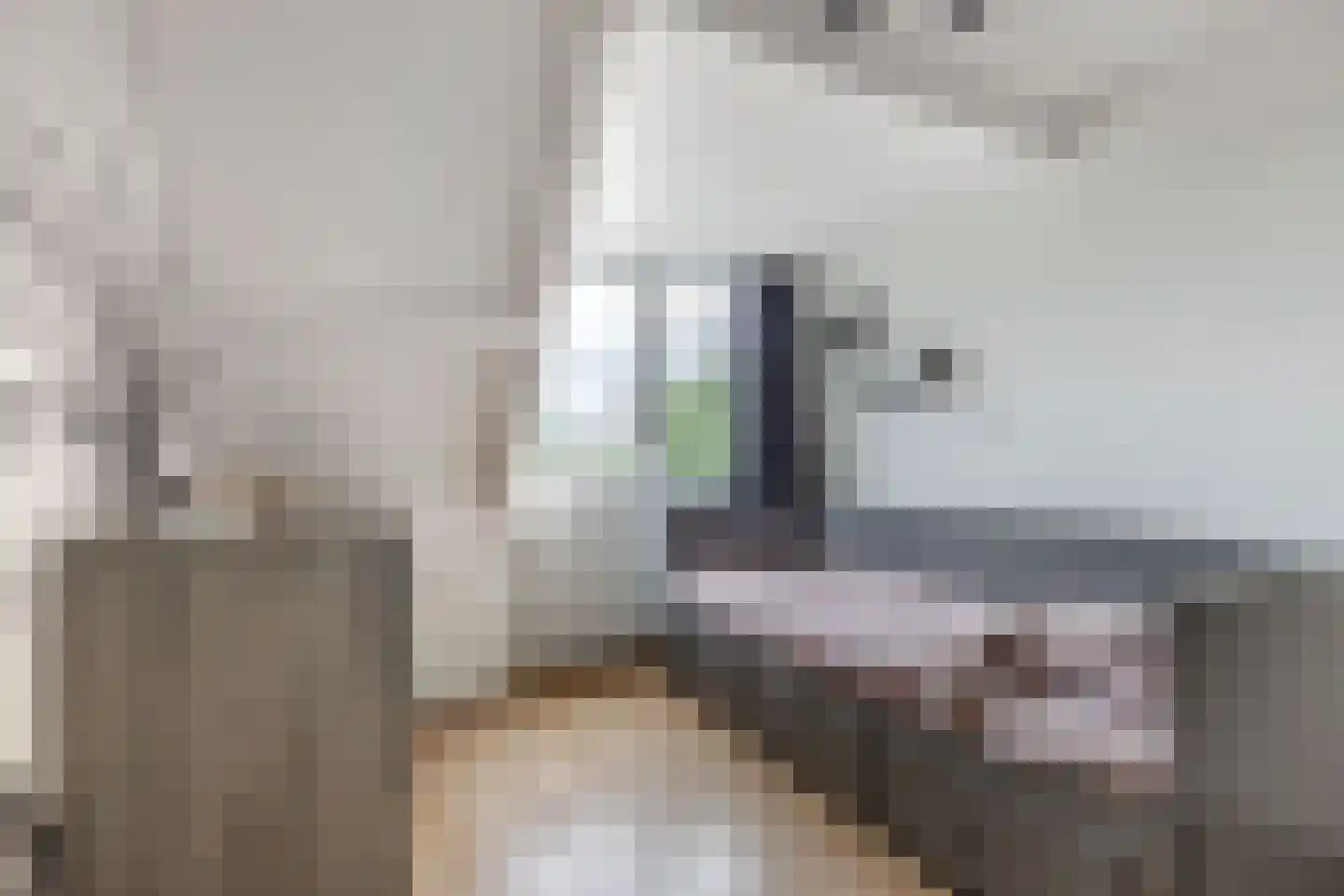 Zandhuizerweg 4 A Zandhuizen thumbnail 30