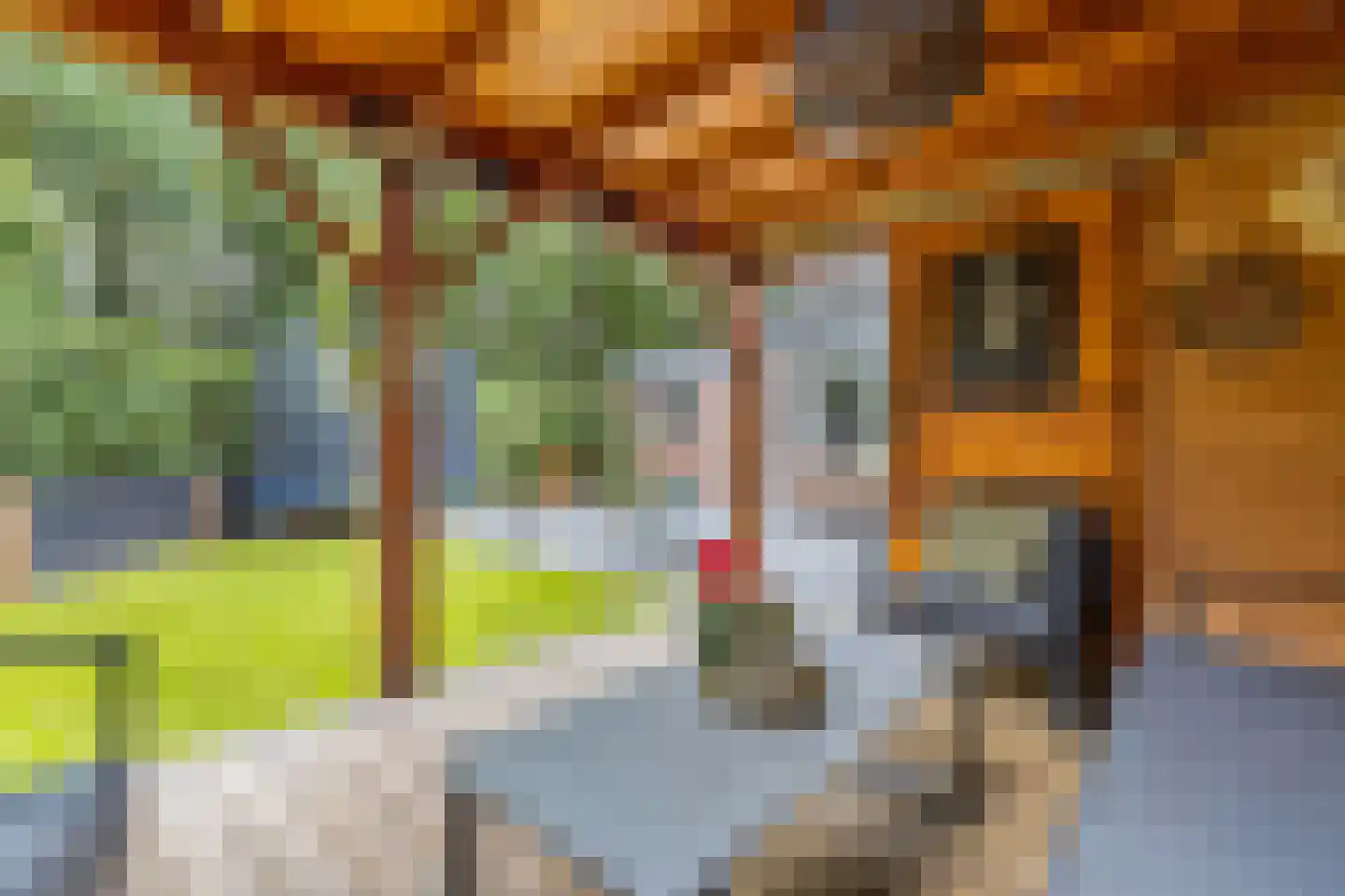 Zandhuizerweg 4 A Zandhuizen thumbnail 37