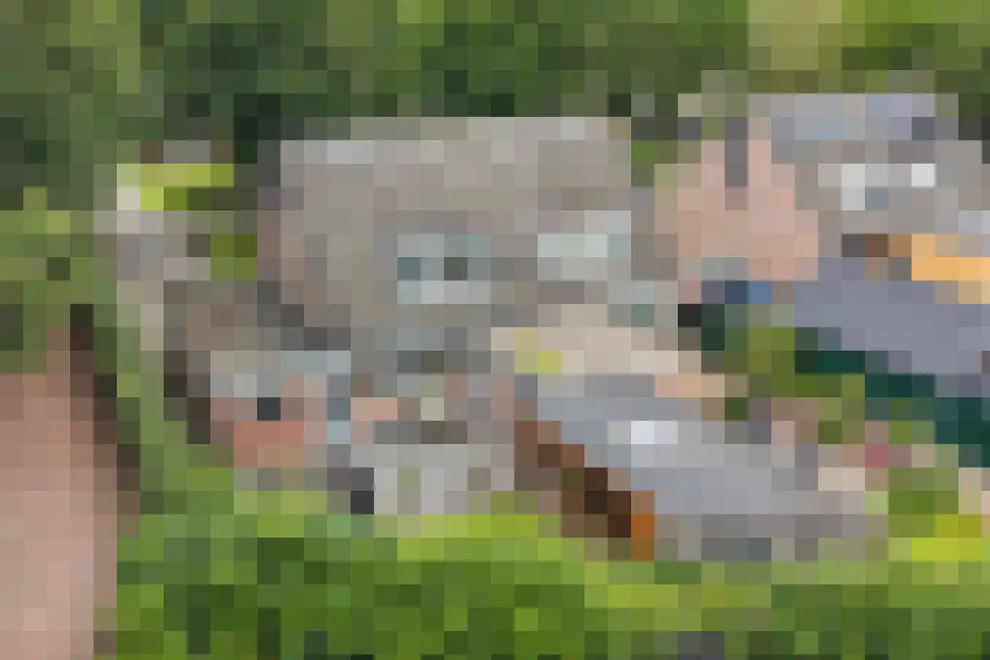 Zandhuizerweg 4 A Zandhuizen thumbnail 42