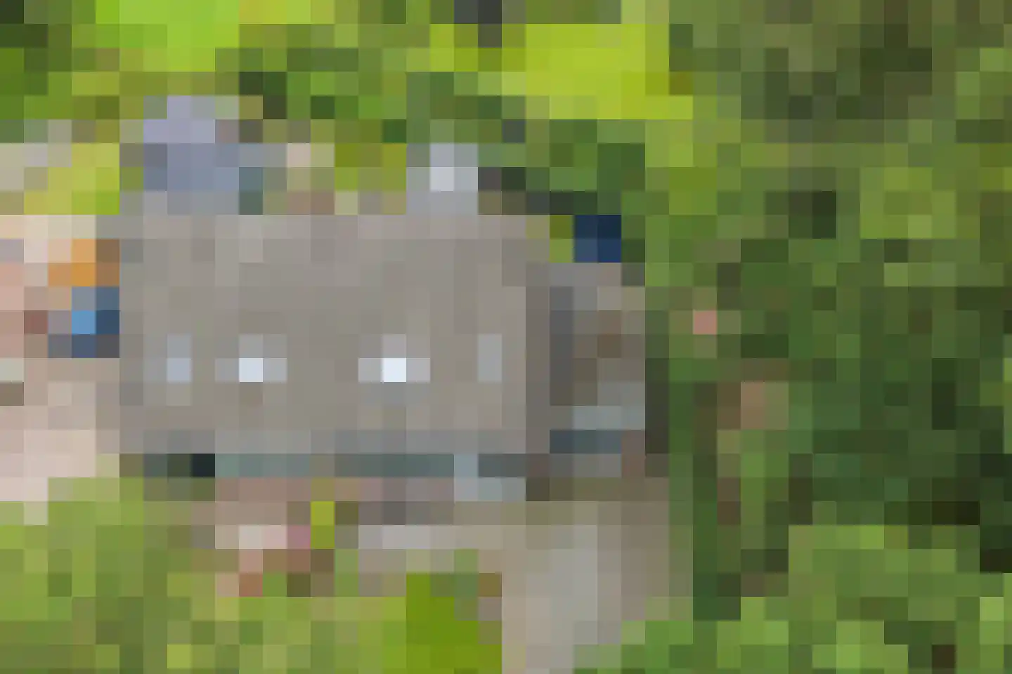 Zandhuizerweg 4 A Zandhuizen thumbnail 43