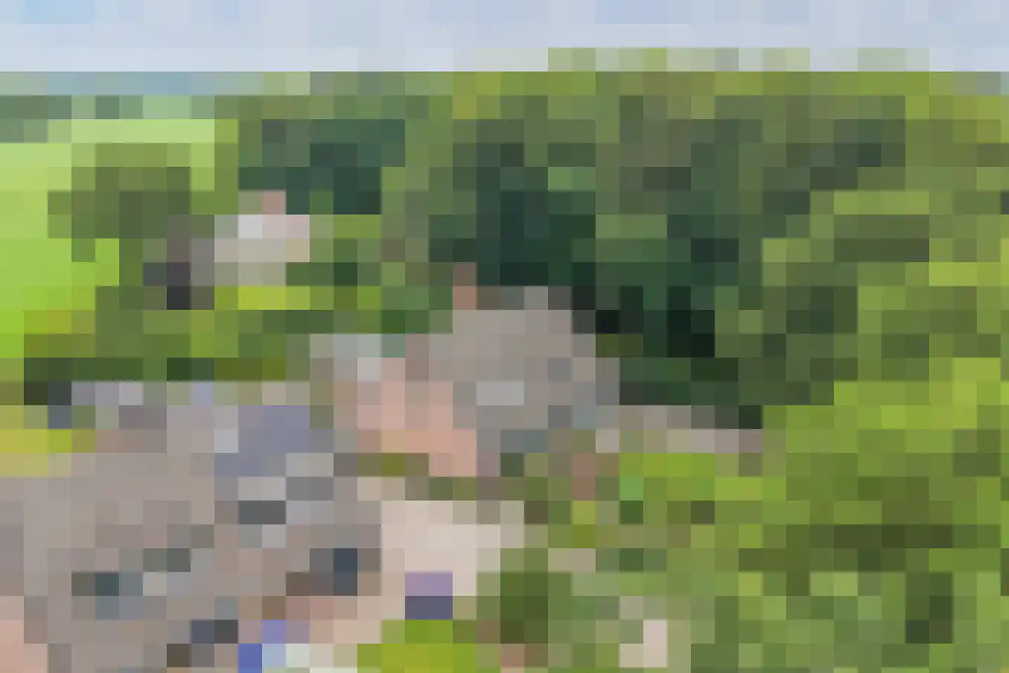 Zandhuizerweg 4 A Zandhuizen thumbnail 44