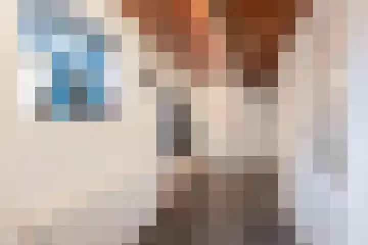 Zandhuizerweg 41 Zandhuizen thumbnail 10