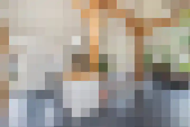Zandhuizerweg 41 Zandhuizen thumbnail 12