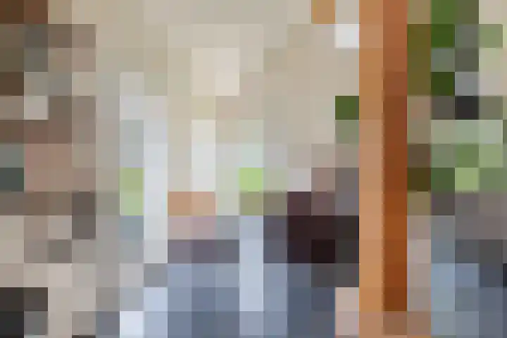 Zandhuizerweg 41 Zandhuizen thumbnail 14