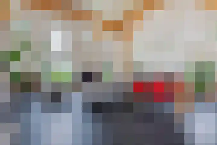 Zandhuizerweg 41 Zandhuizen thumbnail 16