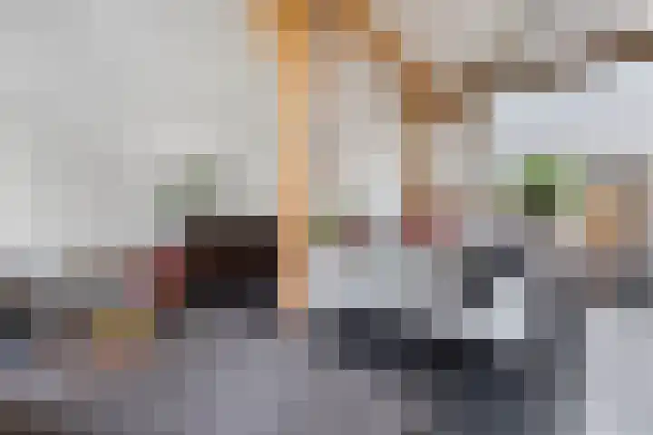 Zandhuizerweg 41 Zandhuizen thumbnail 18