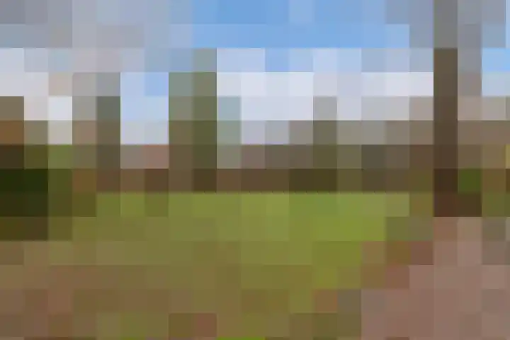 Zandhuizerweg 41 Zandhuizen thumbnail 36