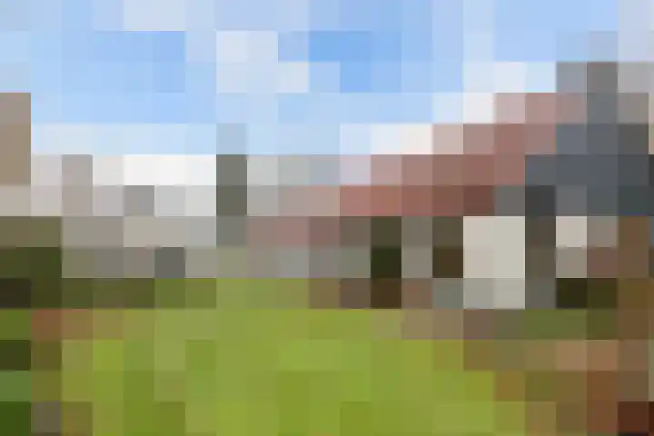 Zandhuizerweg 41 Zandhuizen thumbnail 37