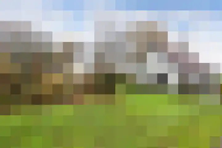 Zandhuizerweg 41 Zandhuizen thumbnail 38