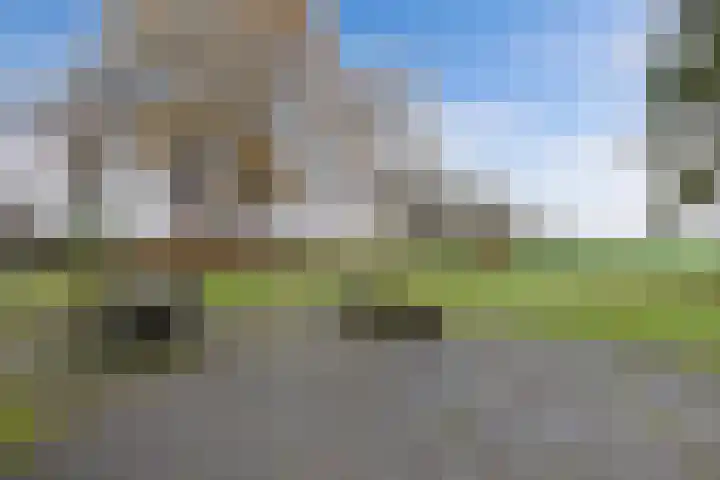Zandhuizerweg 41 Zandhuizen thumbnail 39