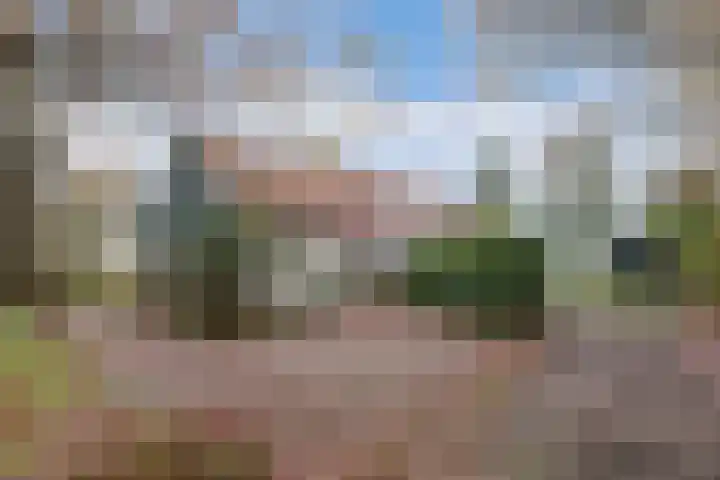 Zandhuizerweg 41 Zandhuizen thumbnail 4