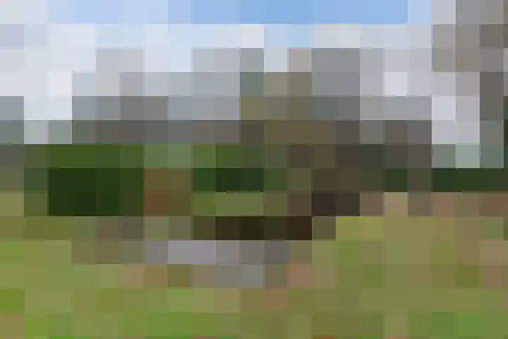 Zandhuizerweg 41 Zandhuizen thumbnail 40