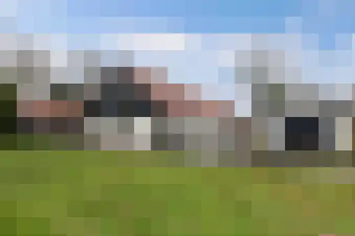 Zandhuizerweg 41 Zandhuizen thumbnail 41