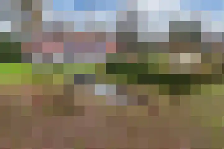 Zandhuizerweg 41 Zandhuizen thumbnail 43