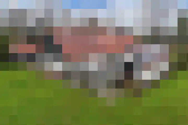 Zandhuizerweg 41 Zandhuizen thumbnail 44