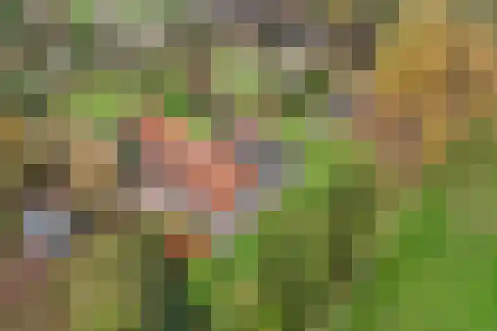 Zandhuizerweg 41 Zandhuizen thumbnail 45