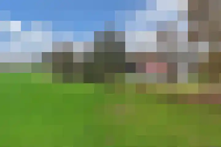 Zandhuizerweg 41 Zandhuizen thumbnail 46