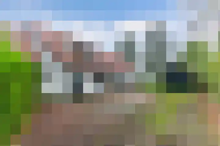 Zandhuizerweg 41 Zandhuizen thumbnail 6