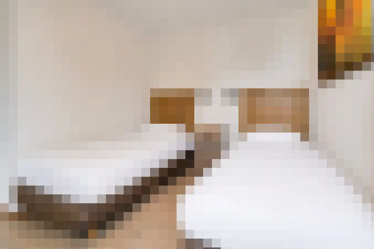 Zandinghe 13 5 Ouddorp thumbnail 13