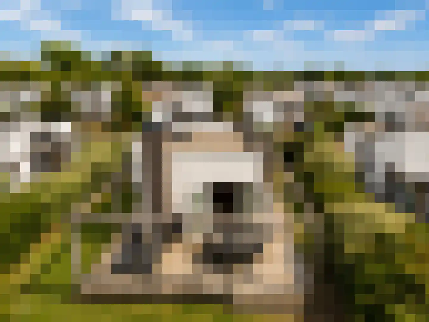 Zandinghe 13 5 Ouddorp thumbnail 17