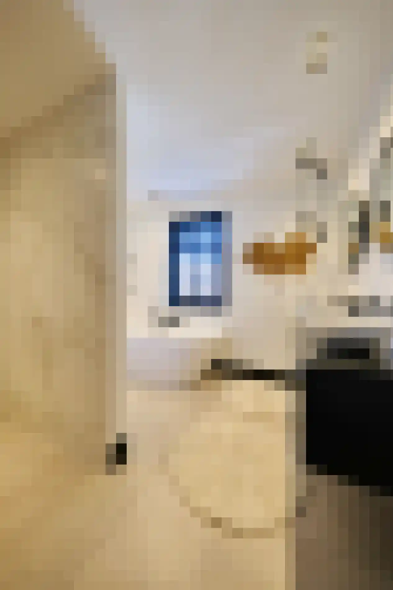 Zandingsweg 21 B Otterlo thumbnail 21
