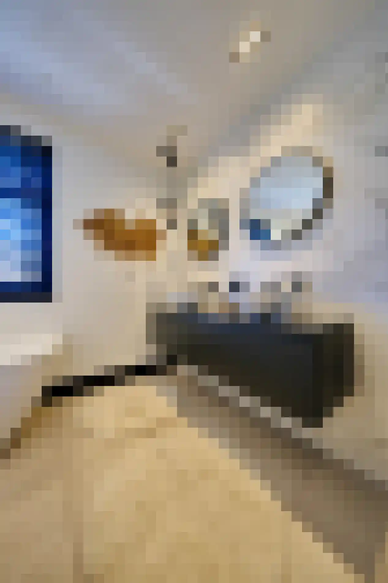 Zandingsweg 21 B Otterlo thumbnail 22