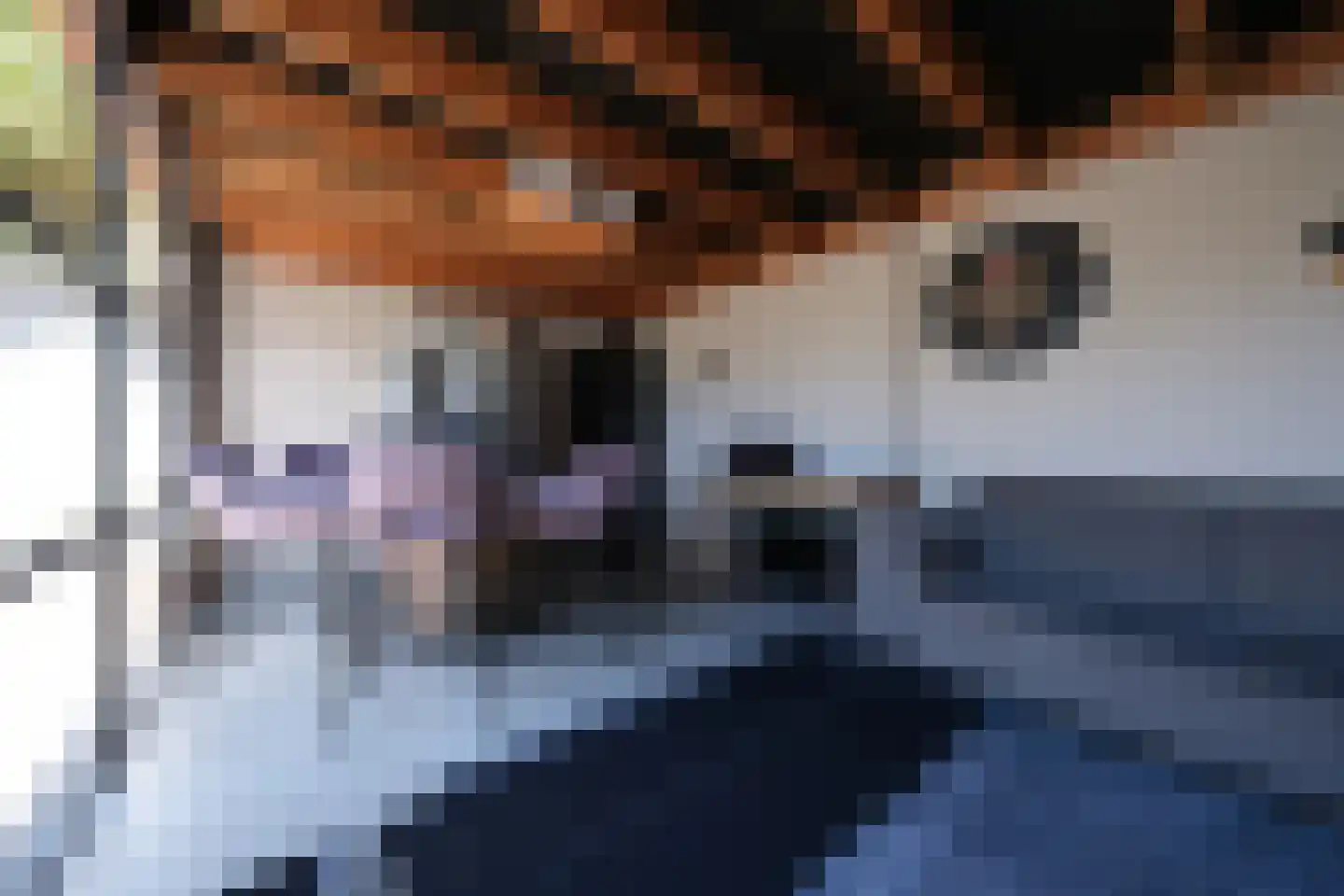 Zandingsweg 21 B Otterlo thumbnail 34