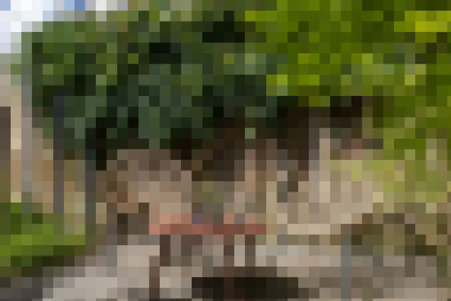 Zandkamp 101 Hoogland thumbnail 34